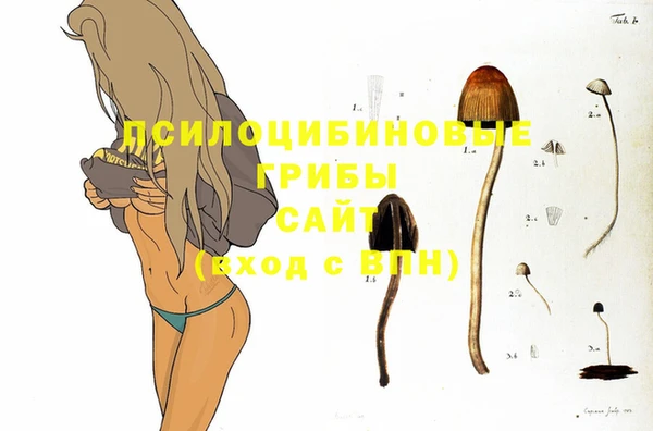 каннабис Баксан
