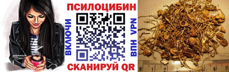 Галлюциногенные грибы Cubensis  Урень 